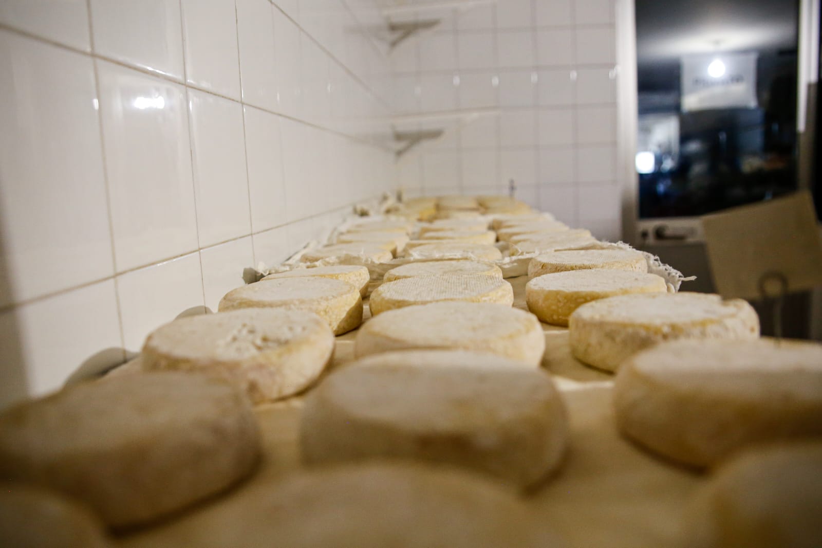 radiotusciaevents.com Alte Terre dop aspetta gli amanti dei formaggi alla fiera internazionale Vinum ad Alba, a DiVin Formaggio a Collecchio