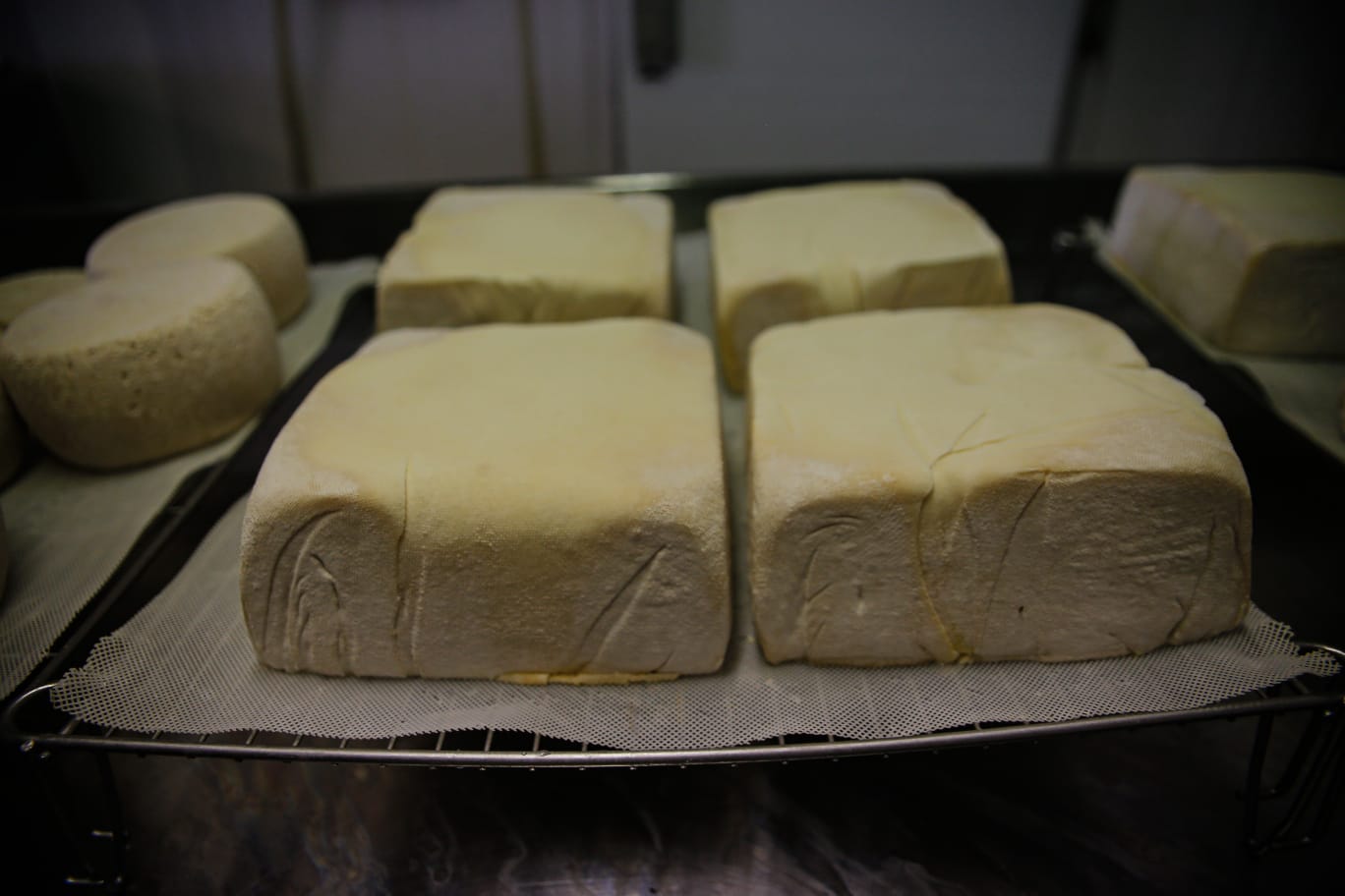 radiotusciaevents.com Alte Terre dop aspetta gli amanti dei formaggi alla fiera internazionale Vinum ad Alba, a DiVin Formaggio a Collecchio