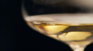 Rassegna dei Vini Biologici e Biodinamici