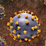 Avanti screening epatite C "Per eradicare infezione"