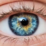 La Malattia Oculare Tiroidea (Thyroid Eye Disease - TED) è una patologia autoimmune complessa "ancora poco definita