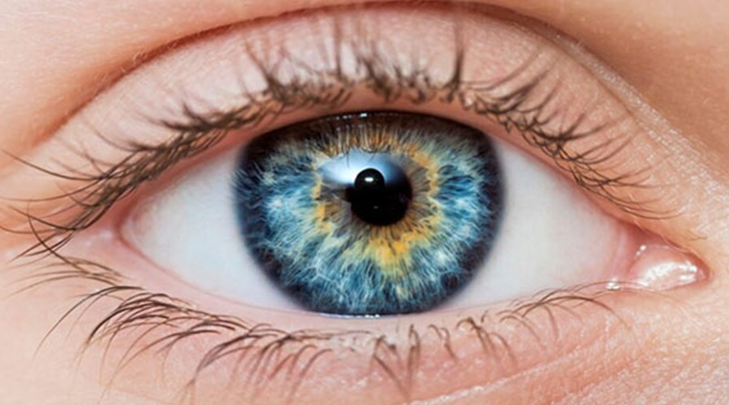 radiotusciaevents.com La Malattia Oculare Tiroidea (Thyroid Eye Disease - TED) è una patologia autoimmune complessa "ancora poco definita