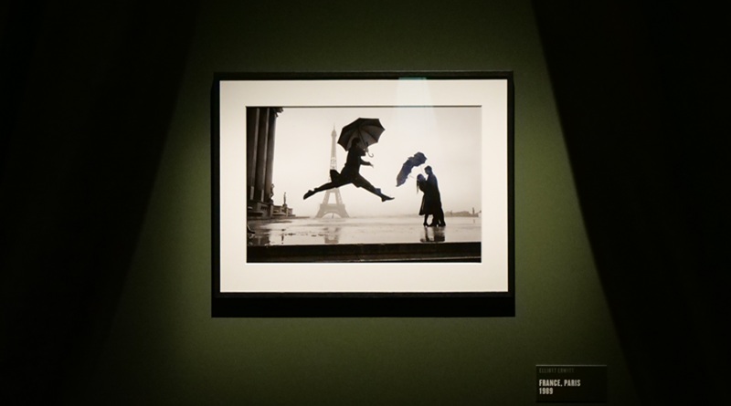 Elliott Erwitt. Icons