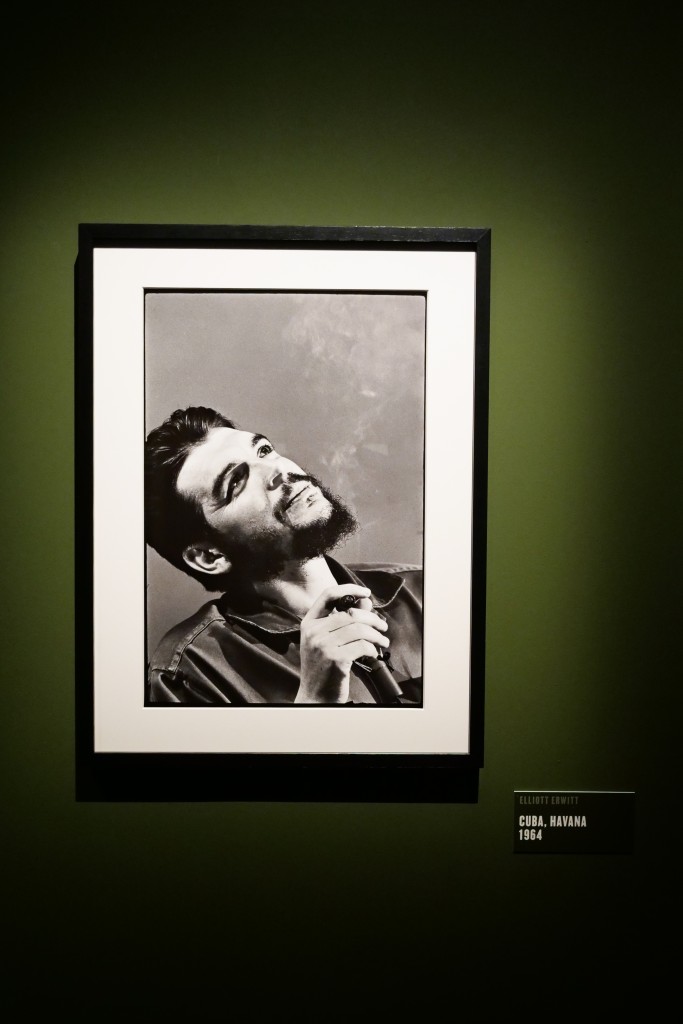 Elliott Erwitt. Icons