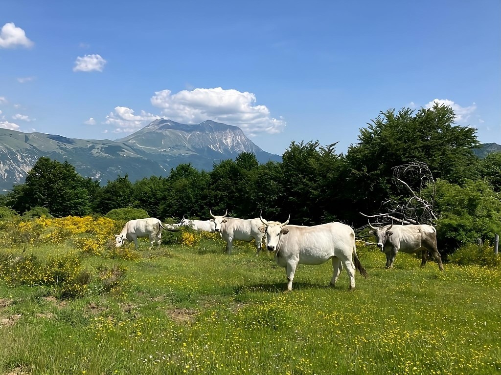 radiotusciaevents.com Il progetto LIFE Grace al Festival dell’ecologia integrale di Montefiascone