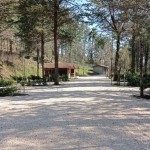 Pietralunga, AFoR cerca gestori per "Camping Pineta"
