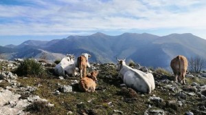 Il progetto LIFE Grace al Festival dell’ecologia integrale di Montefiascone