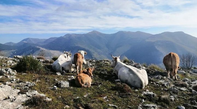 radiotusciaevents.com Il progetto LIFE Grace al Festival dell’ecologia integrale di Montefiascone