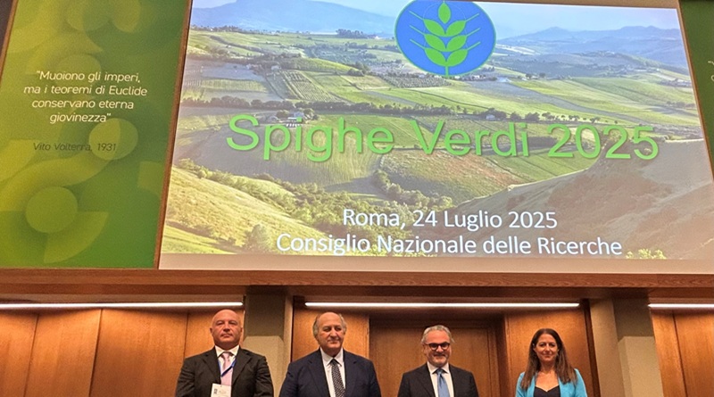 radiotusciaevents.com Il programma Spighe Verdi conferma anche nel 2025 la sua funzione strategica per la crescita dei Comuni rurali e delle aree interne