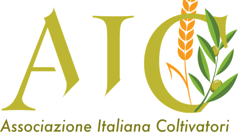 Sviluppare filiere agroalimentari in Africa centrale con l'Italia come partner di innovazione, qualità e formazione
