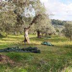 Deborah Eusebi, un'imprenditrice agricola che sta portando un'importante innovazione nel settore.