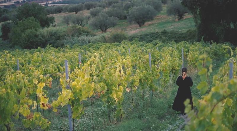 Valentina Monti (Monti della Moma): l'eredità di mia nonna e la leadership femminile in agricoltura