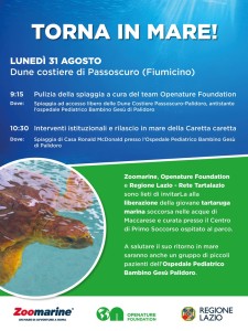 radiotusciaevents.com Torna in mare la giovane Caretta caretta soccorsa lo scorso 30 luglio nelle acque di Maccarese, trasportata e curata presso il Centro di Primo Soccorso a Zoomarine.