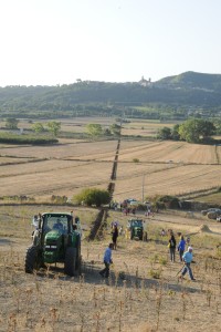 Svolta storica alla Festa del Solco Dritto di Valentano: per la prima volta l'aratro è stato guidato da una donna