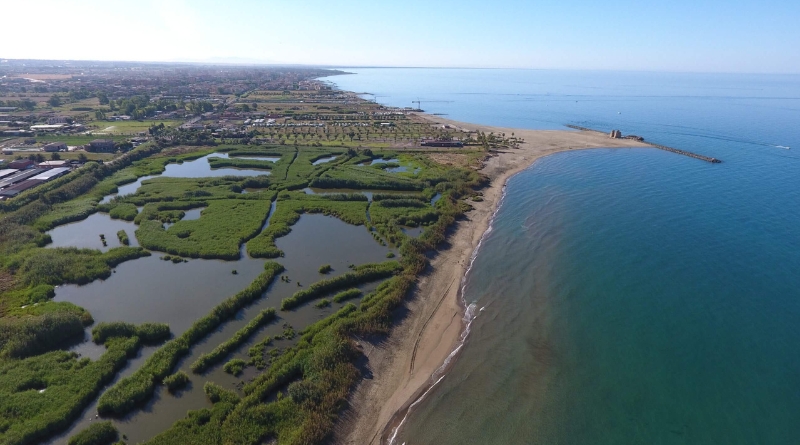 radiotusciaevents.com Veduta della Palude di Torre Flavia tra Ladispoli e Cerveteri