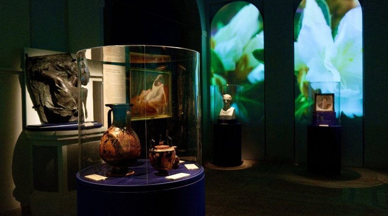 Sezione antica della mostra Saffo al Palatino di Roma, con vasi greci, sculture, dipinti e installazioni multimediali.