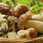 A settembre, a Oriolo Romano, il profumo del bosco arriva direttamente in tavola.