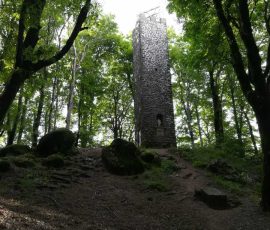 faggeta