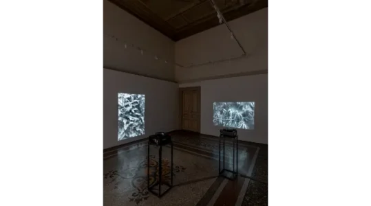 radiotusciaevents.com radiotusciaevents.com